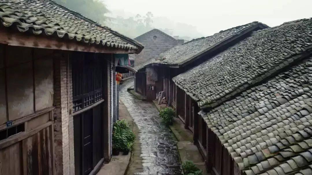 鼓舞!听完政府工作报告代表委员信心倍增:努力交出高质量发展新答卷